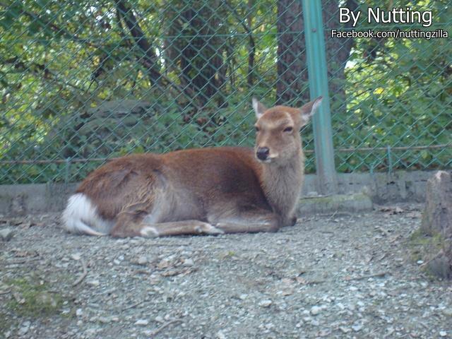 DSC04036.JPG